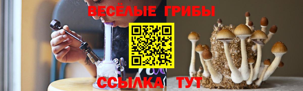сколько стоит  Псилоцибиновые грибы Cubensis  Галлюциногенные грибы мухоморы  Вход с VPN  Южноуральск 